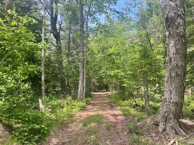 050-c-1 W Waldo Road Belfast ME 04915