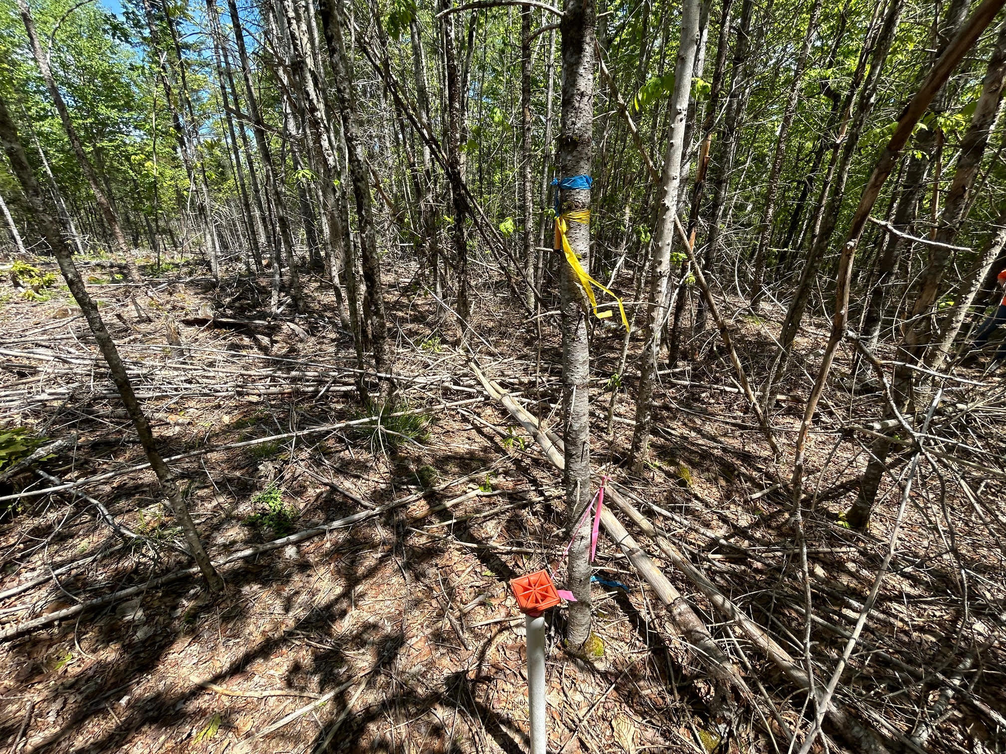 050-c-1 W Waldo Road Belfast ME 04915