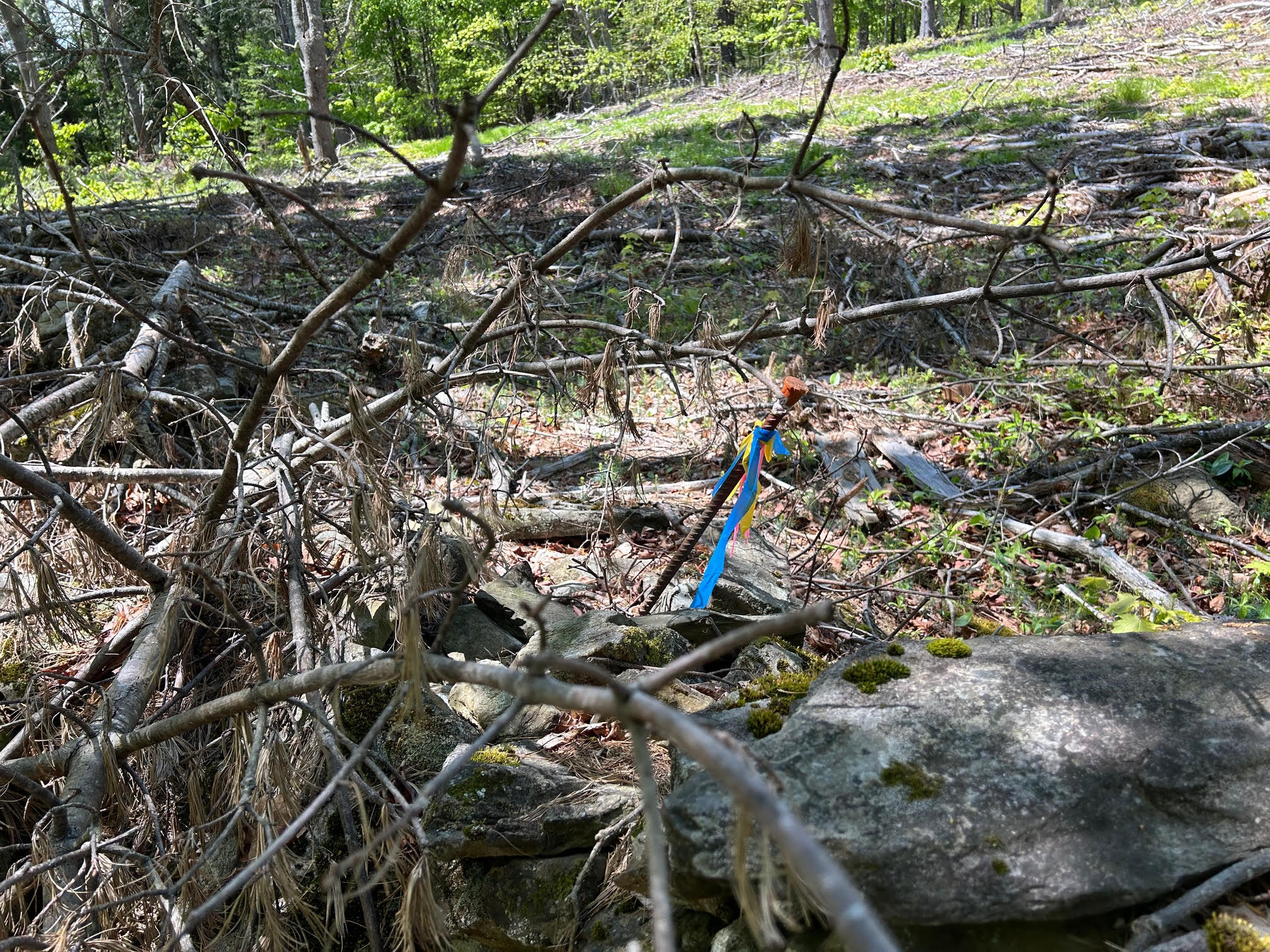 050-c-1 W Waldo Road Belfast ME 04915