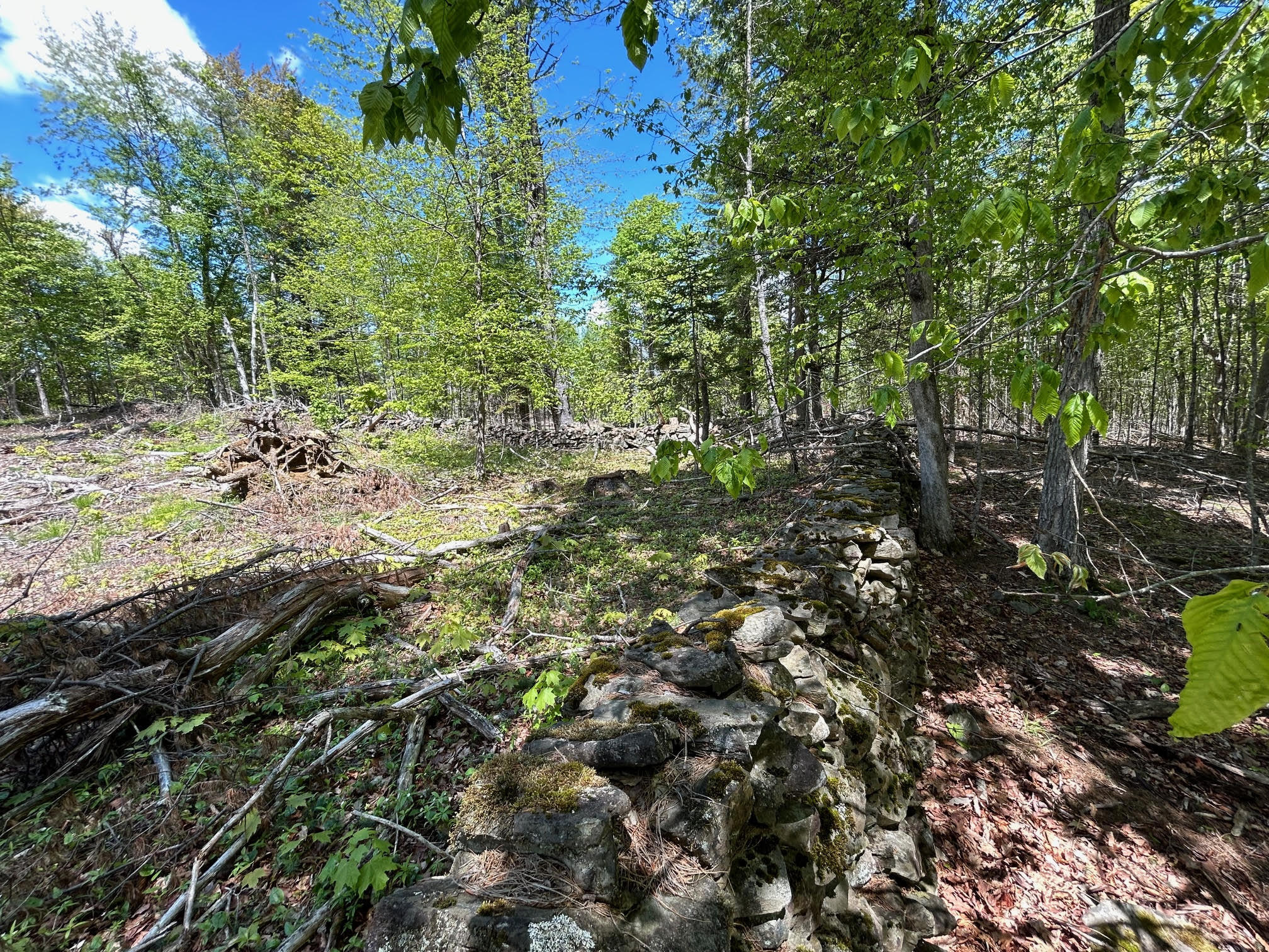 050-c-1 W Waldo Road Belfast ME 04915