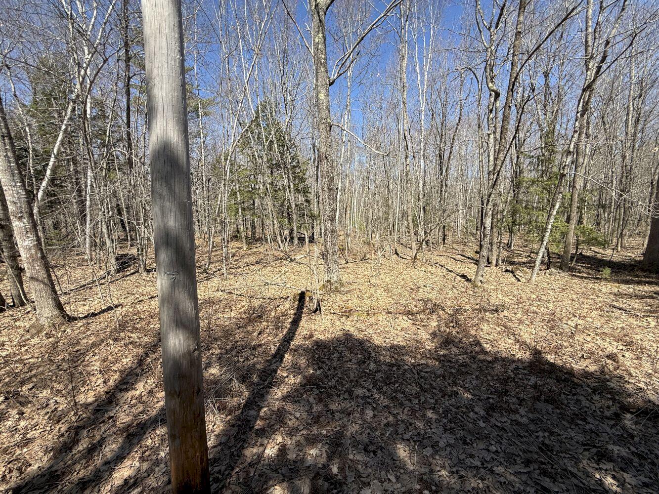 M14 L39 Sandy Point Road Vassalboro ME 04989