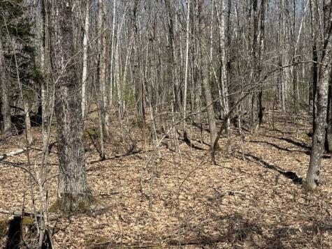 M14 L39 Sandy Point Road Vassalboro ME 04989