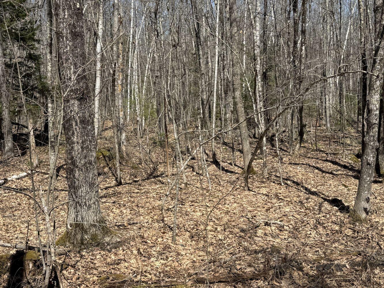 M14 L39 Sandy Point Road Vassalboro ME 04989