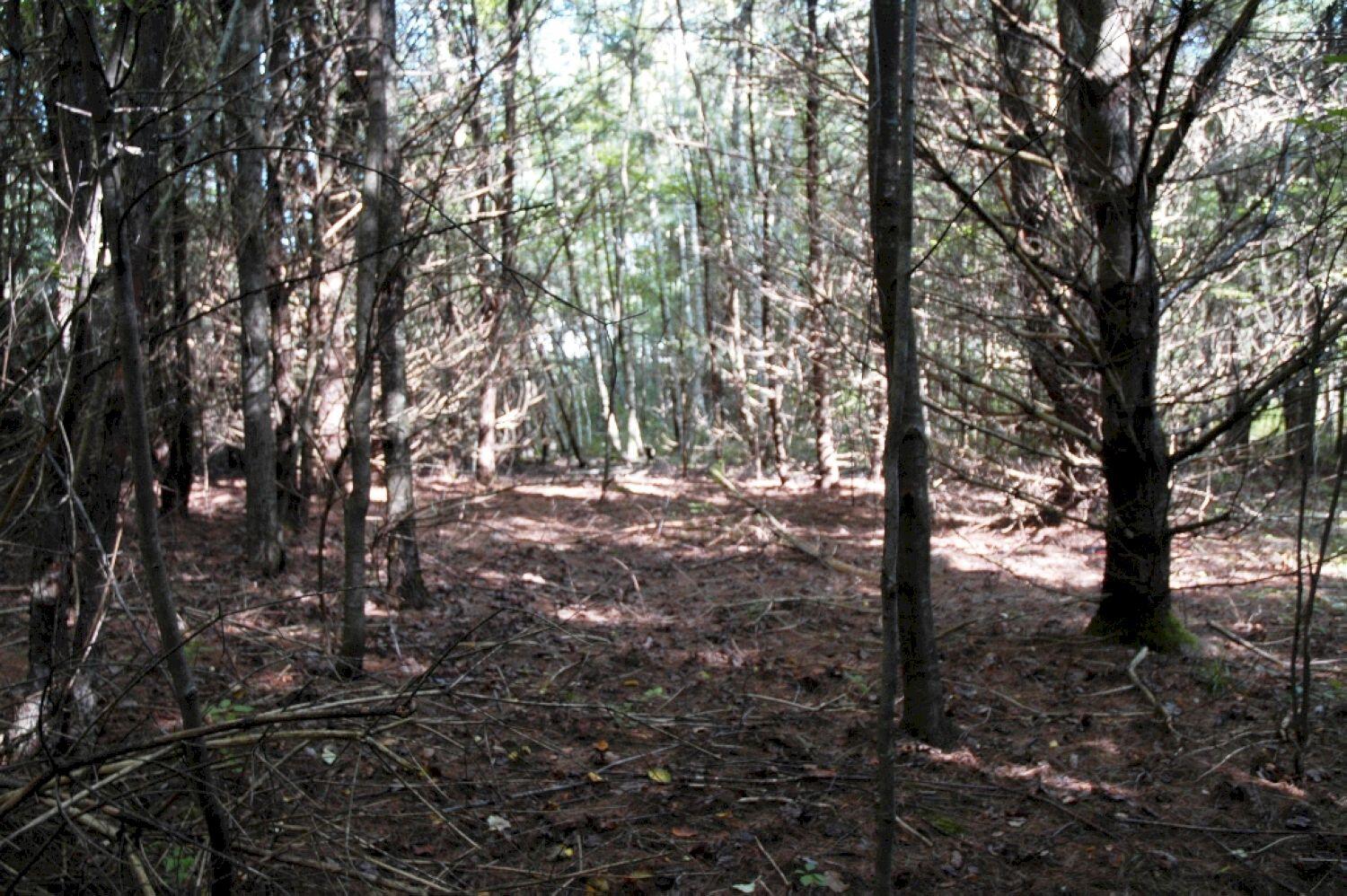 M7 L69-4 Willis Road Benton ME 04901