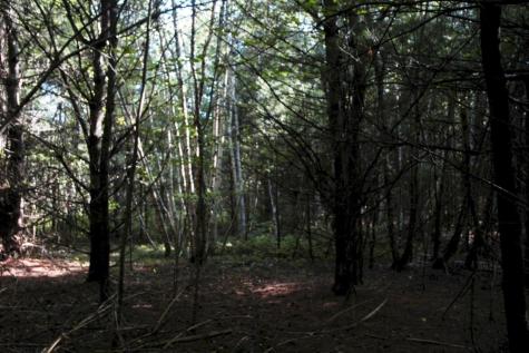 M7 L69-4 Willis Road Benton ME 04901