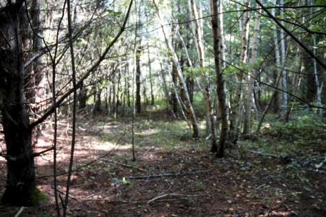 M7 L69-4 Willis Road Benton ME 04901