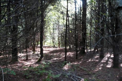 M7 L69-4 Willis Road Benton ME 04901