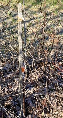 Lot # Tbd Shaw Hill Road Hampden ME 04444
