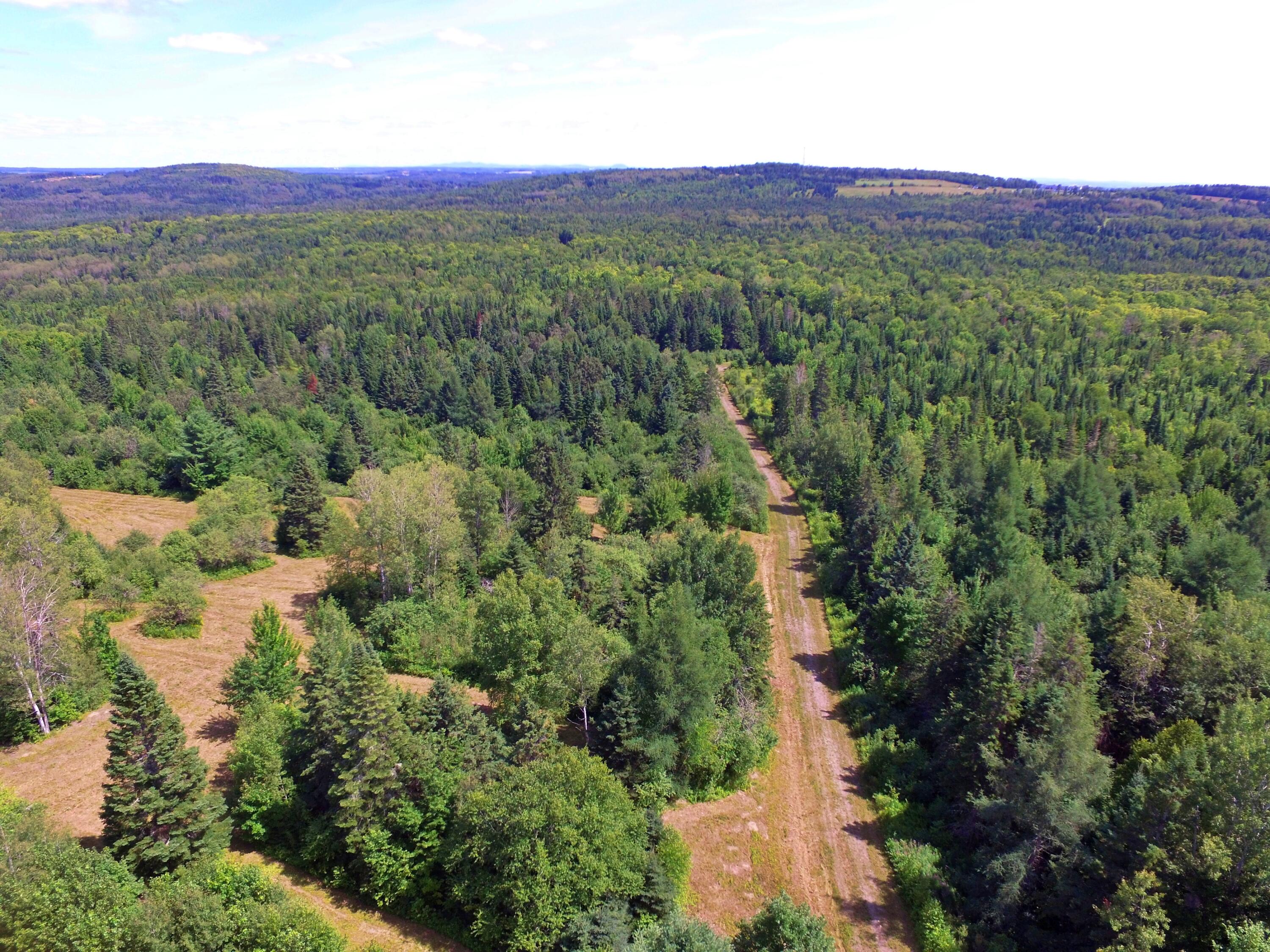 M11L114.5G New Sweden Road New Sweden ME 04762