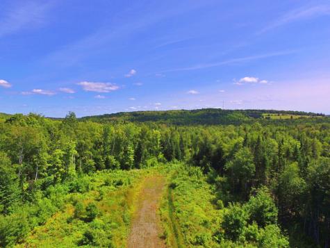 M11L114.5G New Sweden Road New Sweden ME 04762