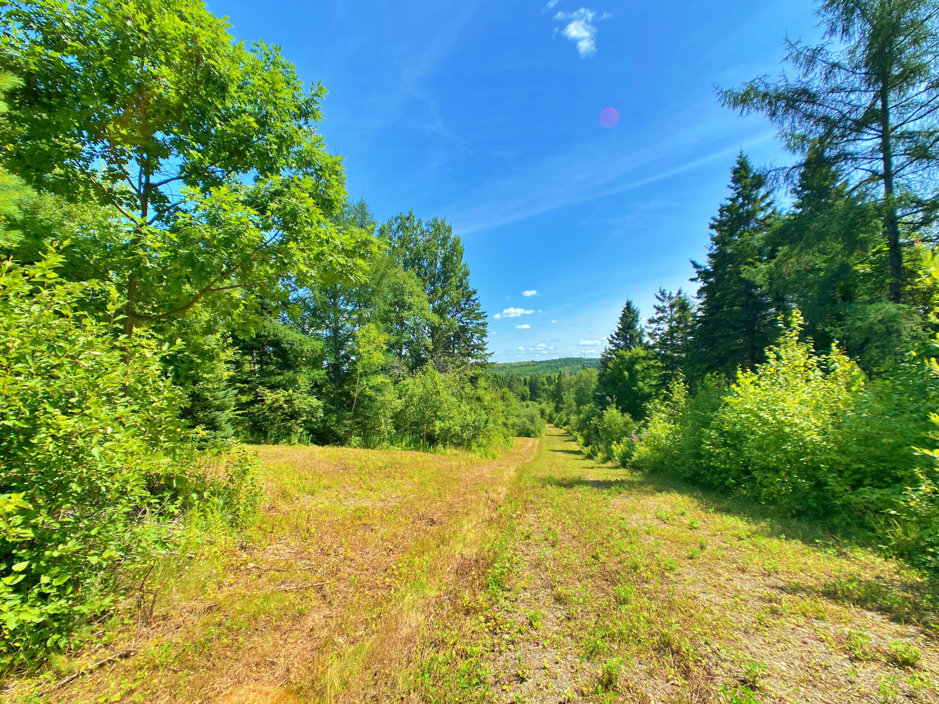 M11L114.5G New Sweden Road New Sweden ME 04762