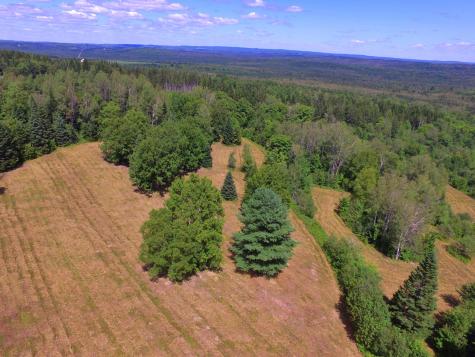 M11L114.5G New Sweden Road New Sweden ME 04762