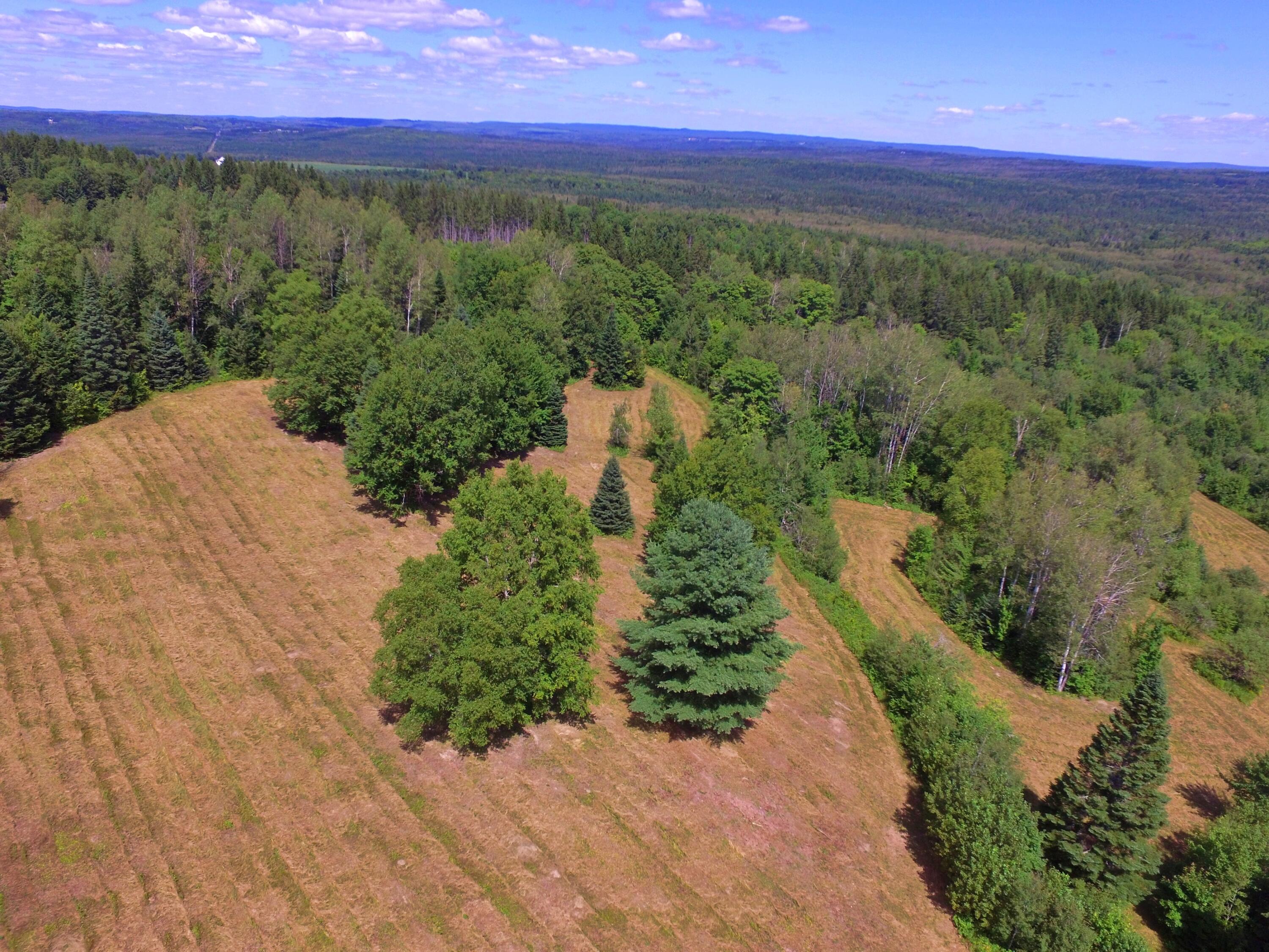 M11L114.5G New Sweden Road New Sweden ME 04762