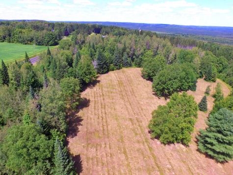 M11L114.5G New Sweden Road New Sweden ME 04762