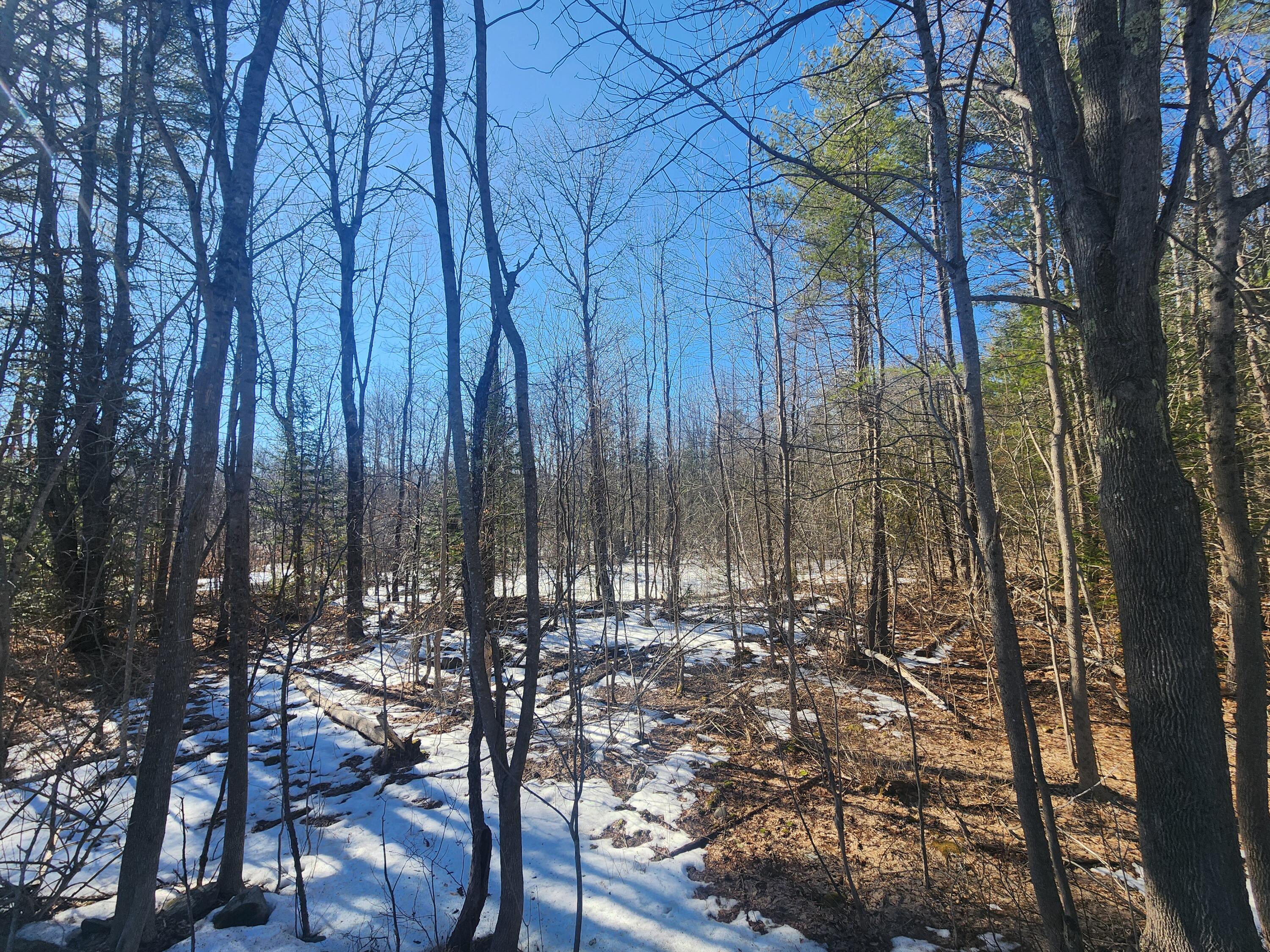 Lot 38 S Reynolds Road Winslow ME 04989