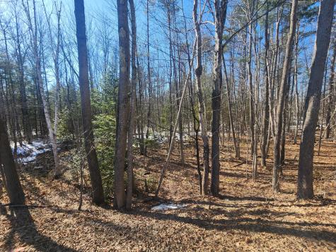 Lot 38 S Reynolds Road Winslow ME 04989