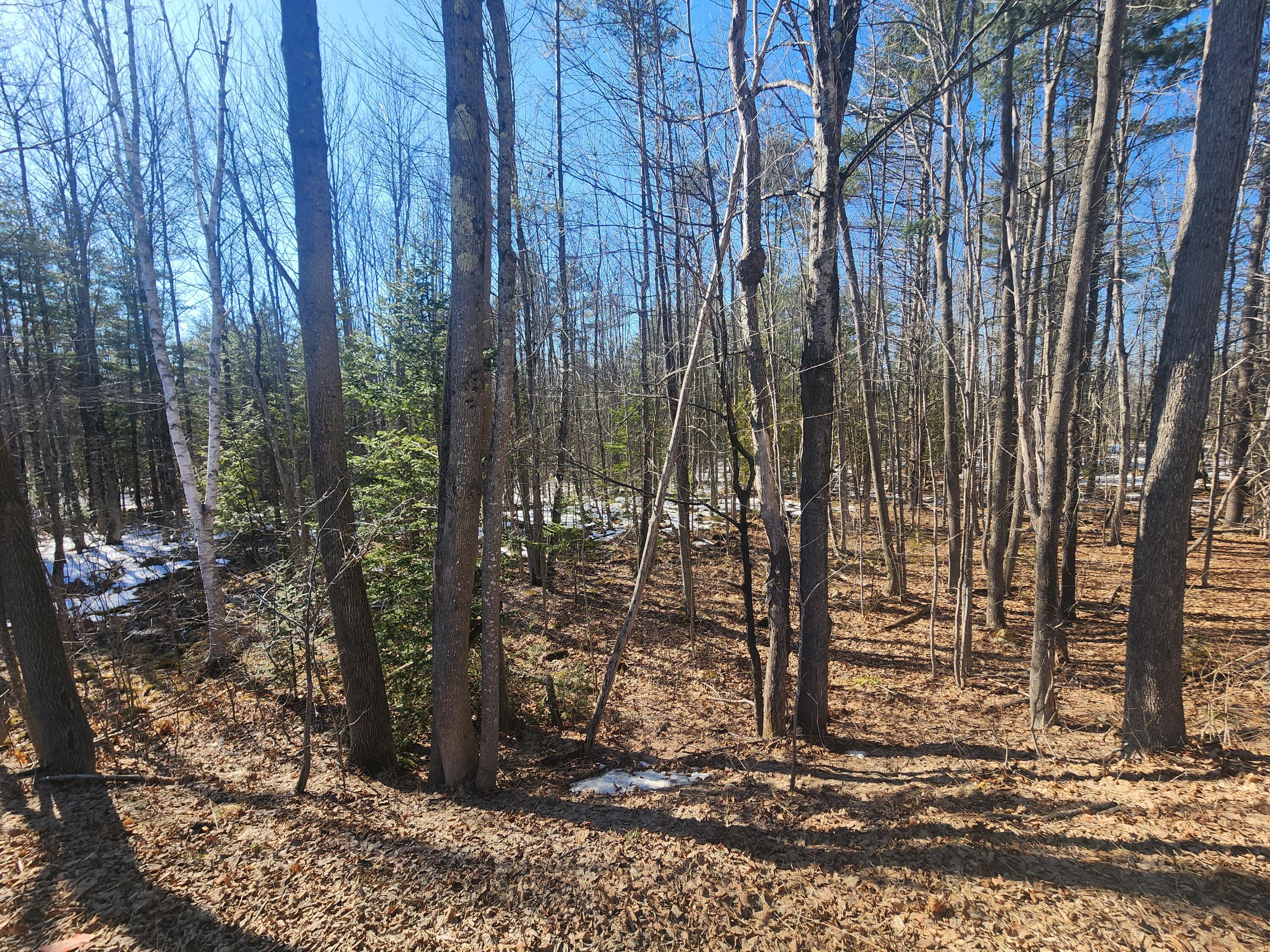 Lot 38 S Reynolds Road Winslow ME 04989