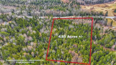 0 Swamp Road Gouldsboro ME 04607