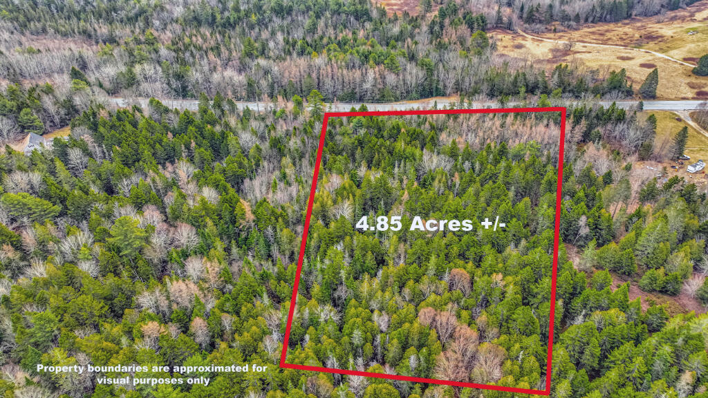 0 Swamp Road Gouldsboro ME 04607