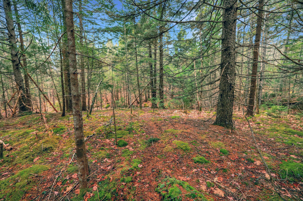 0 Swamp Road Gouldsboro ME 04607