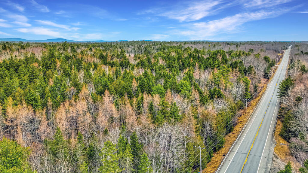 0 Swamp Road Gouldsboro ME 04607