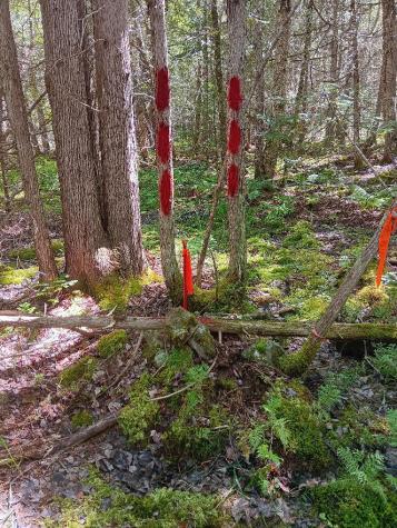 0 Swamp Road Gouldsboro ME 04607