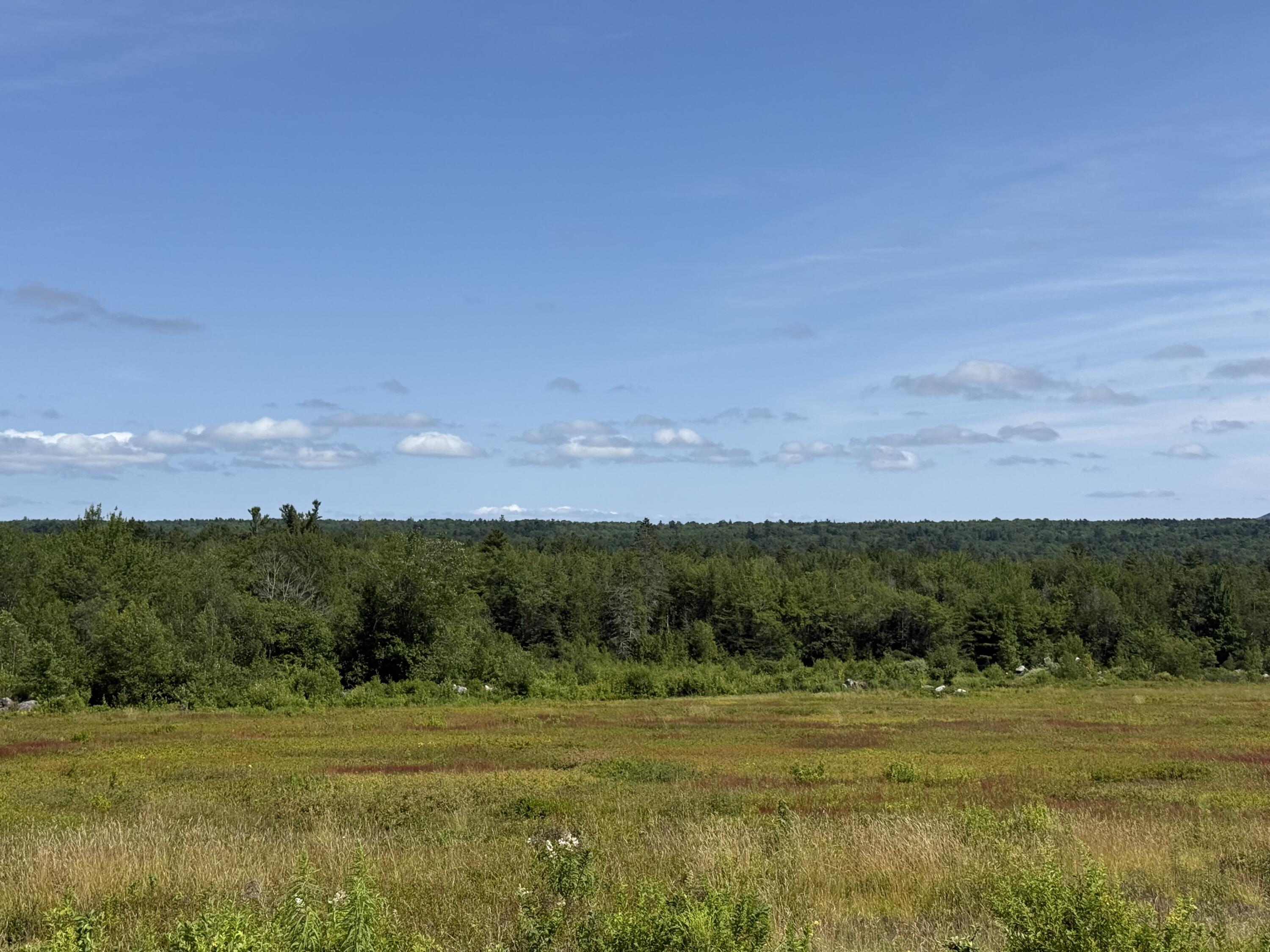 MAP13LOT21 Route 199 Route Penobscot ME 04476