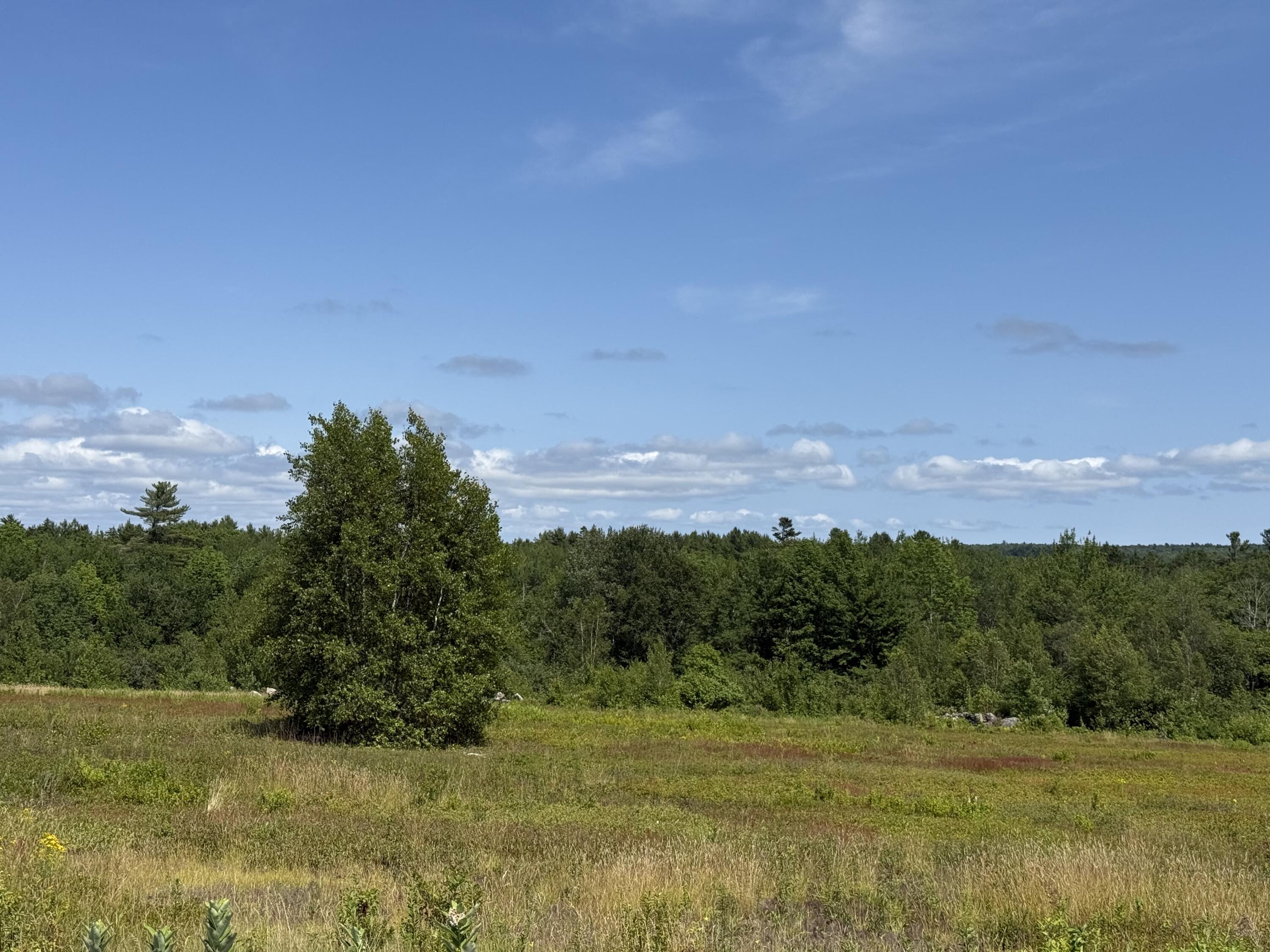 MAP13LOT21 Route 199 Route Penobscot ME 04476