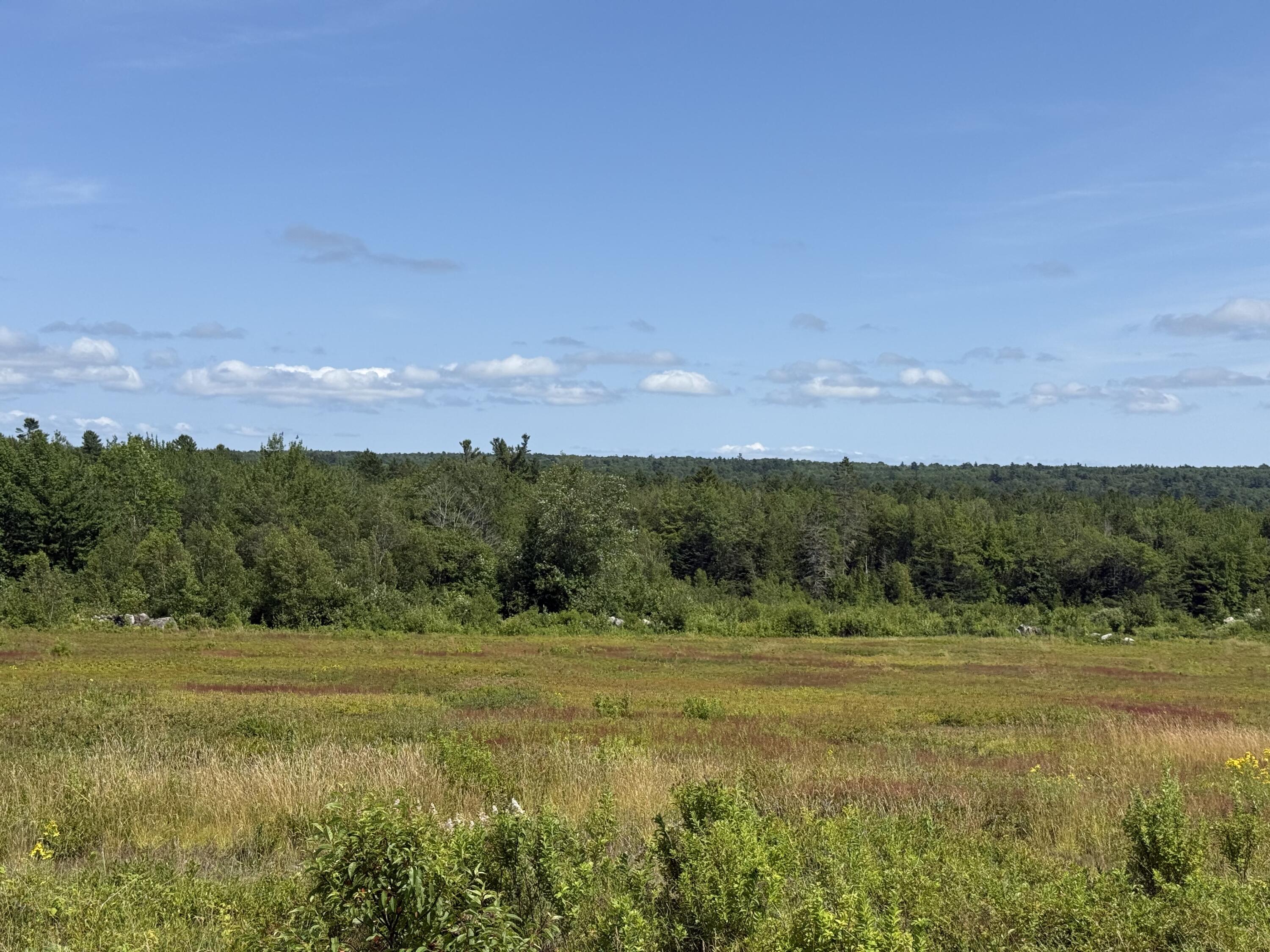 MAP13LOT21 Route 199 Route Penobscot ME 04476