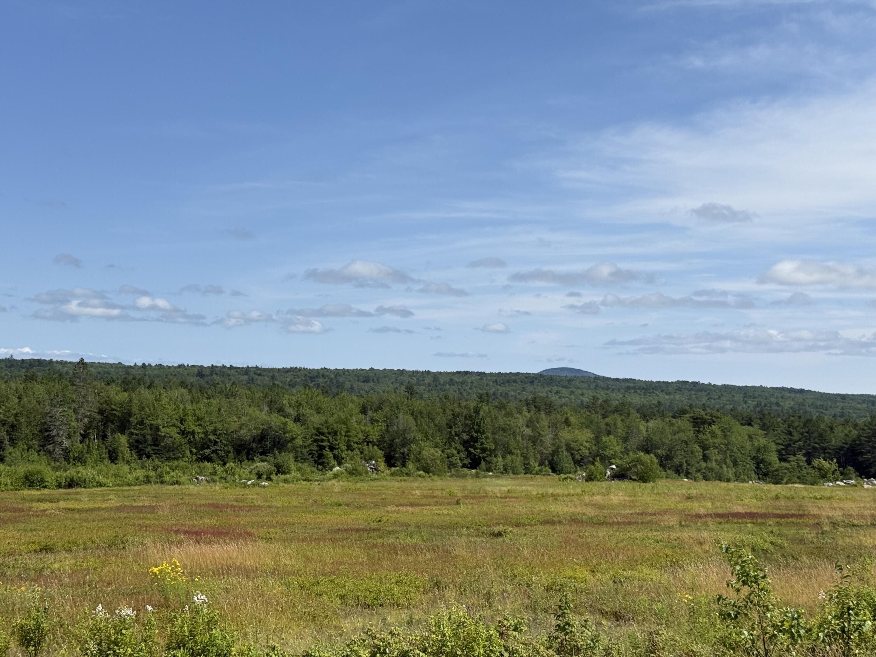 MAP13LOT21 Route 199 Route Penobscot ME 04476