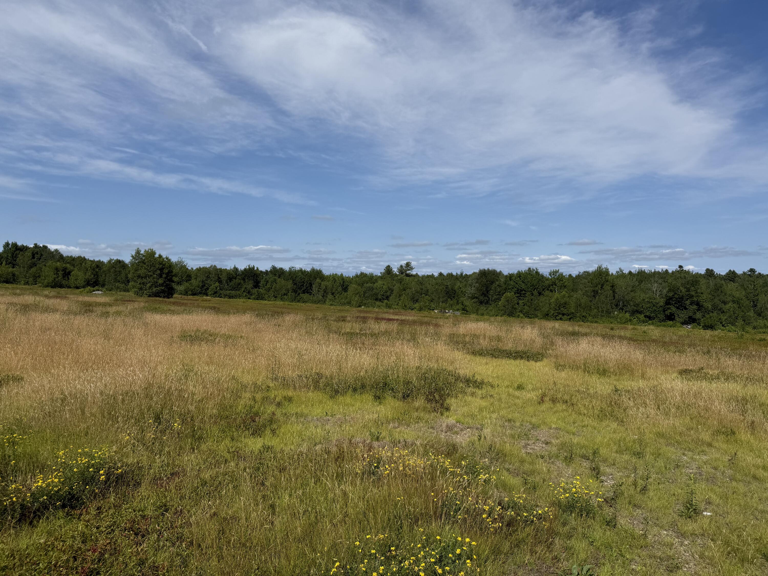 MAP13LOT21 Route 199 Route Penobscot ME 04476