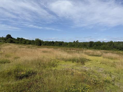 MAP13LOT21 Route 199 Route Penobscot ME 04476