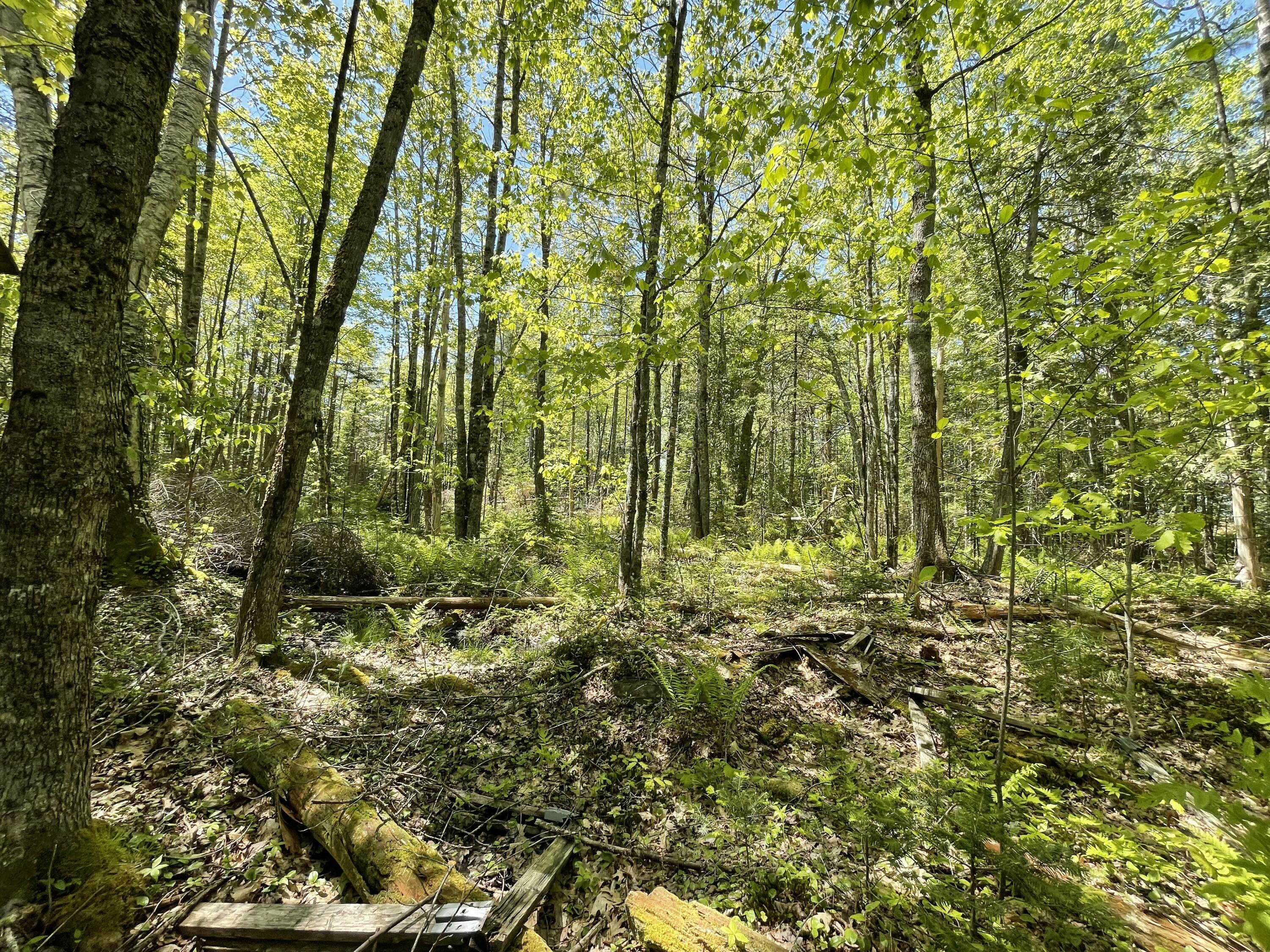 M 8 L 16 Fowles Road Searsmont ME 04973