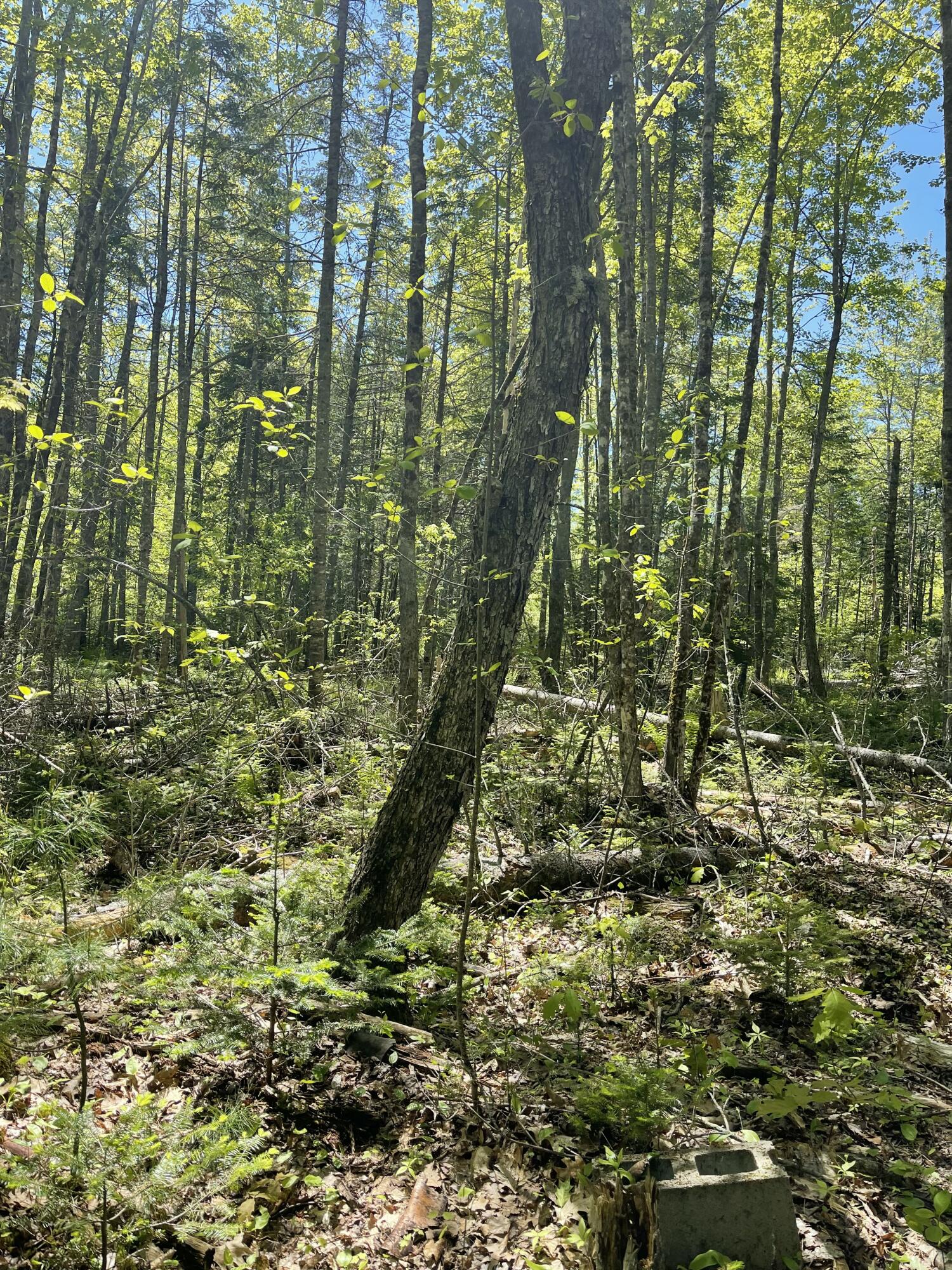 M 8 L 16 Fowles Road Searsmont ME 04973