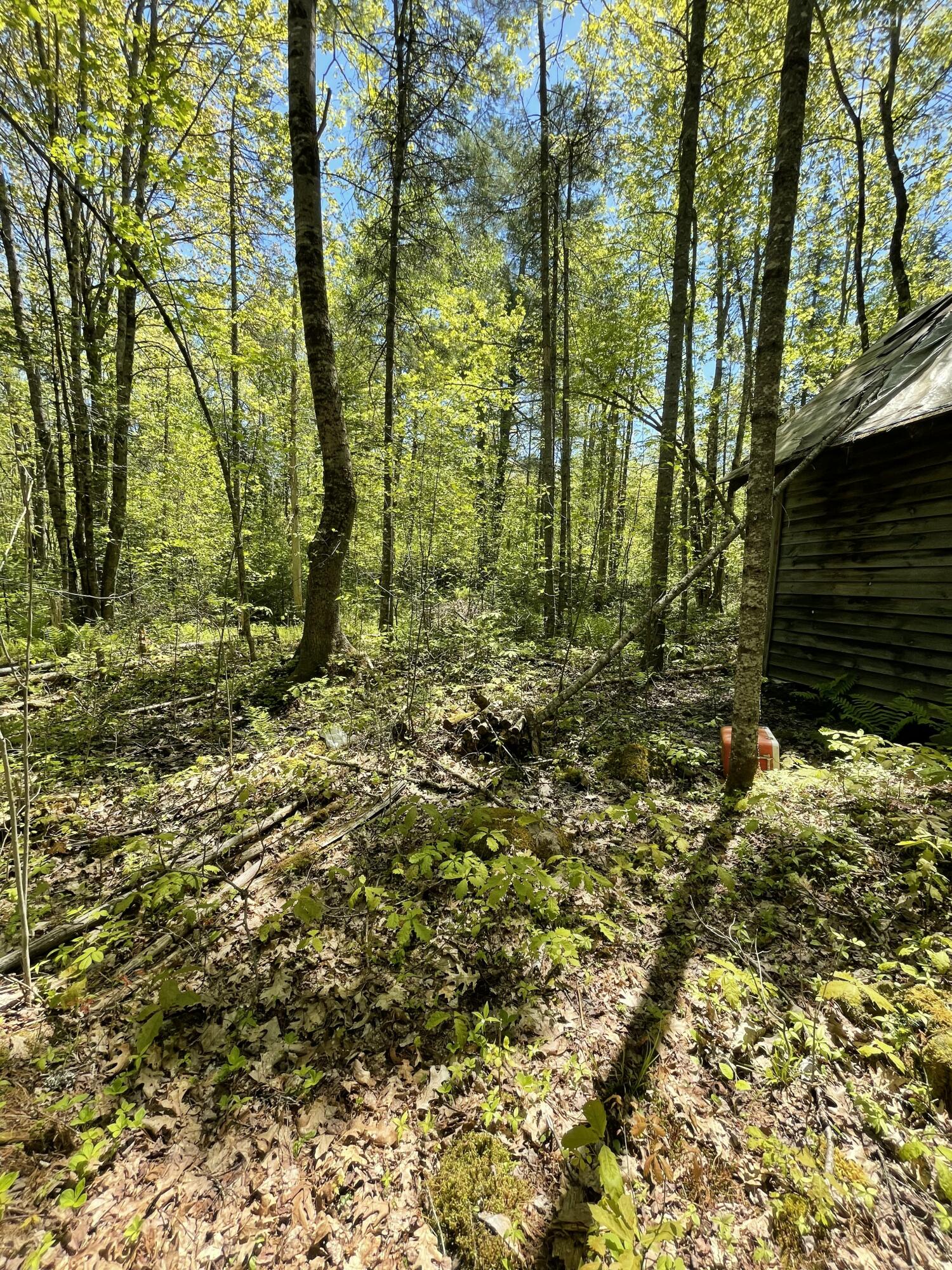 M 8 L 16 Fowles Road Searsmont ME 04973