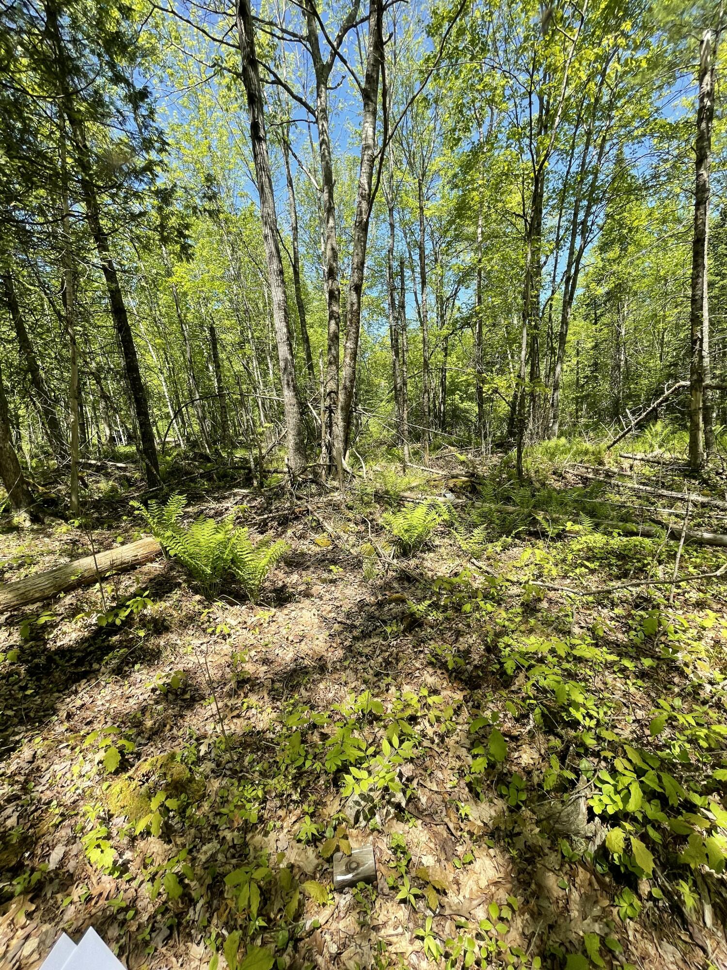 M 8 L 16 Fowles Road Searsmont ME 04973