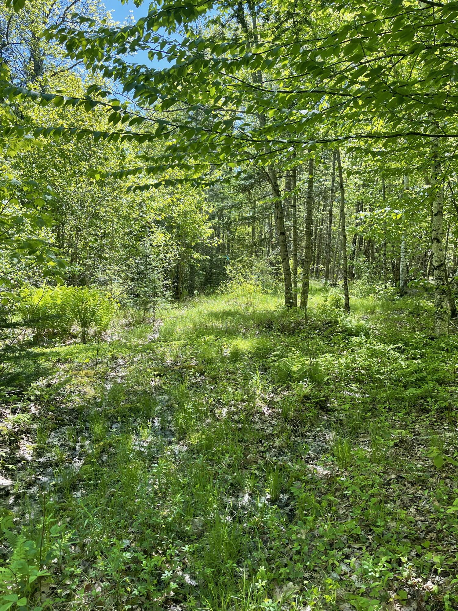 M 8 L 16 Fowles Road Searsmont ME 04973