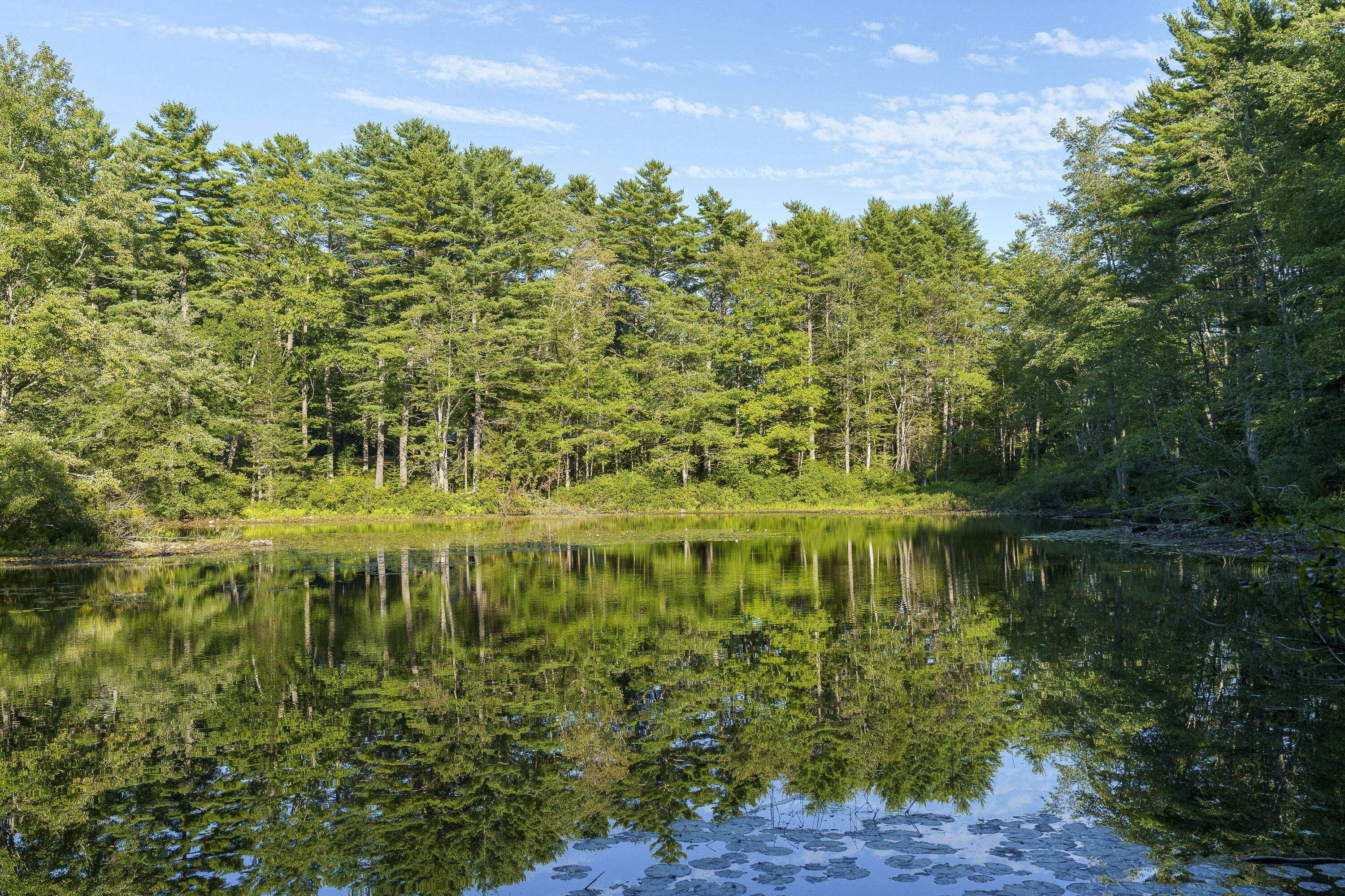 003-D Lakeview Drive Bristol ME 04539