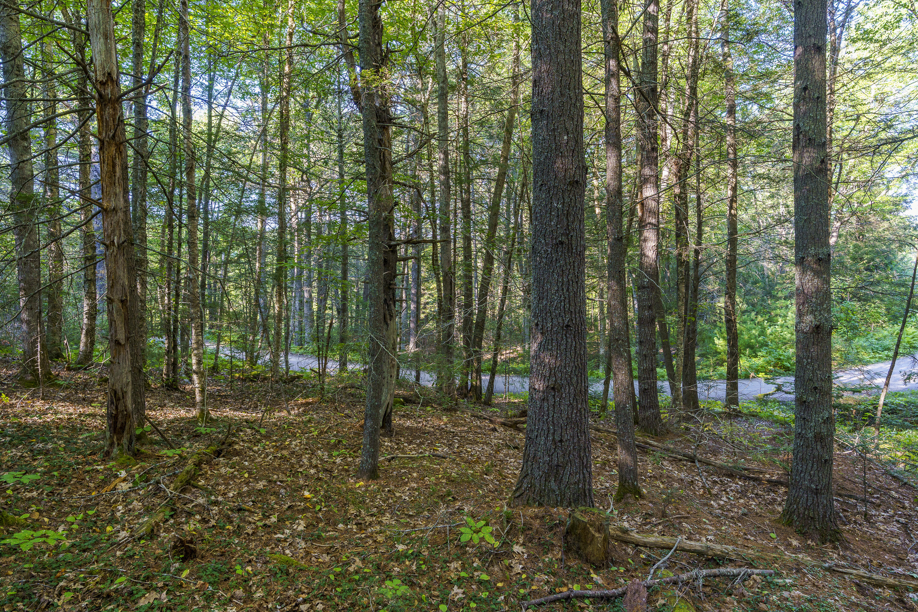 003-D Lakeview Drive Bristol ME 04539