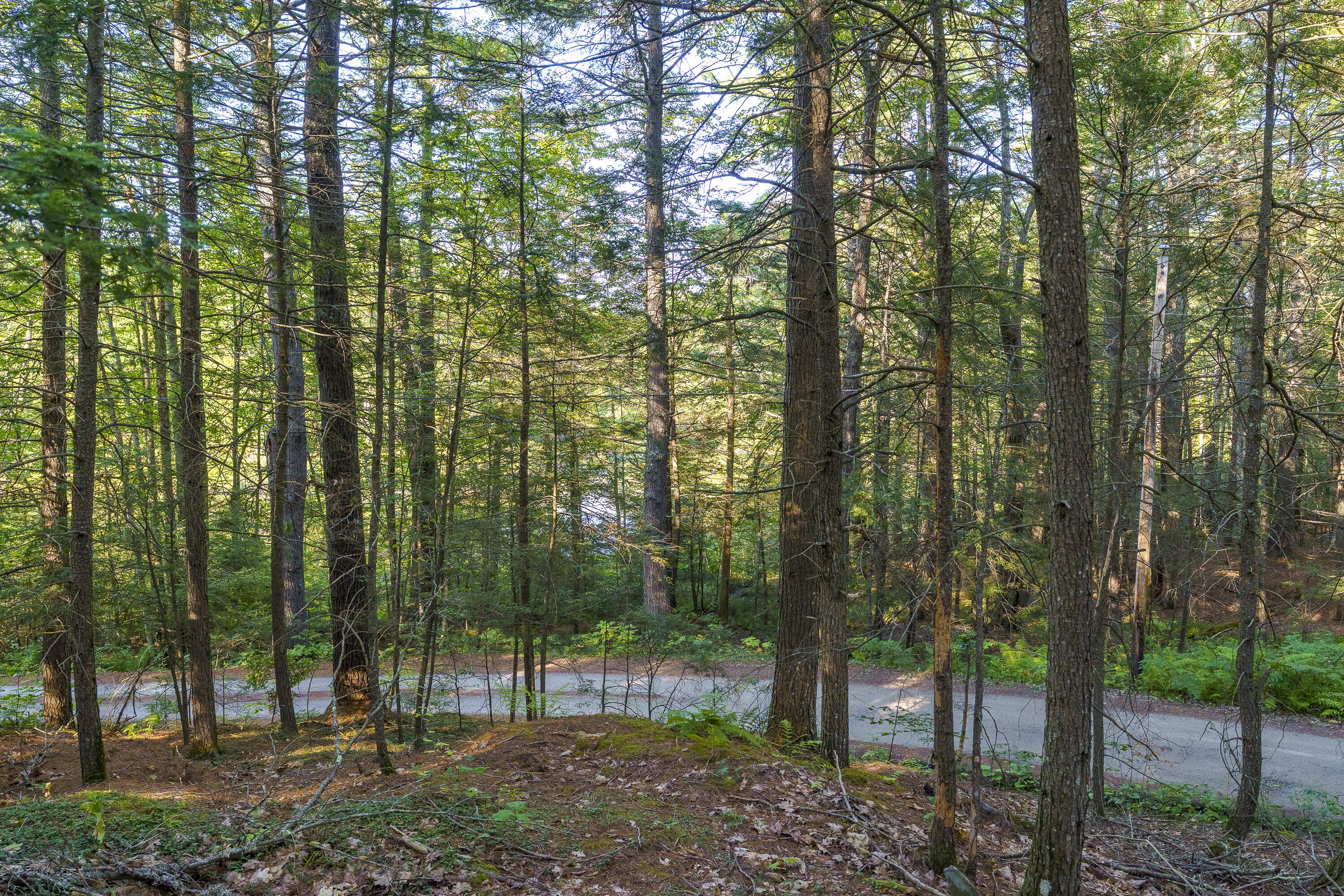 003-D Lakeview Drive Bristol ME 04539