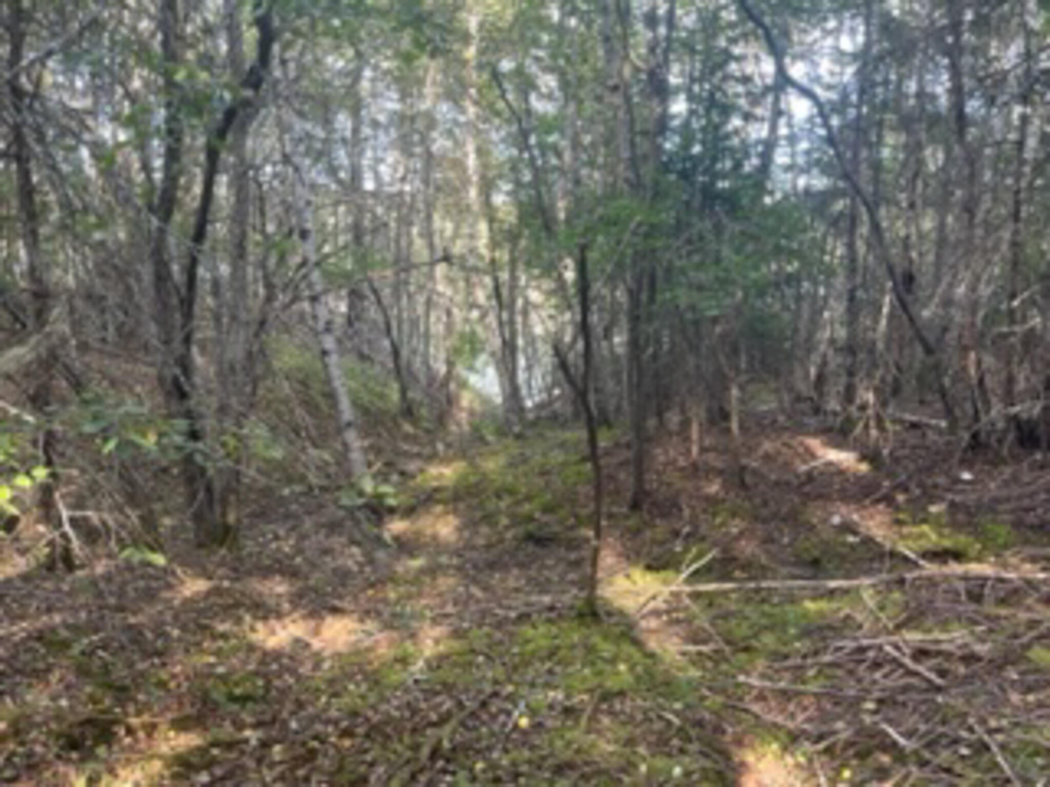 M40L85 Lyons Road Lubec ME 04652