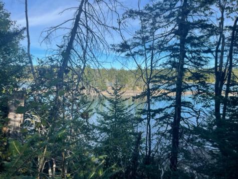 M40L85 Lyons Road Lubec ME 04652