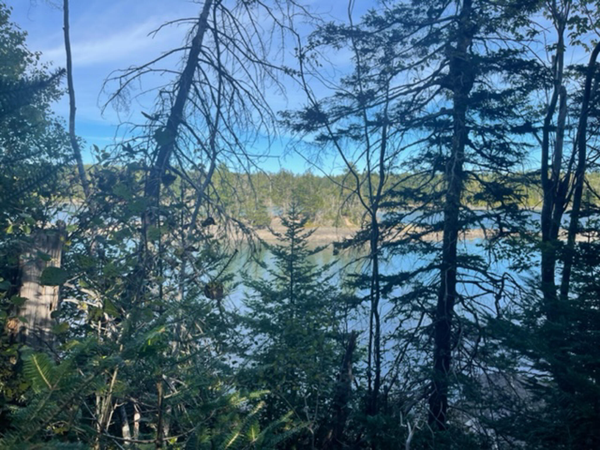 M40L85 Lyons Road Lubec ME 04652