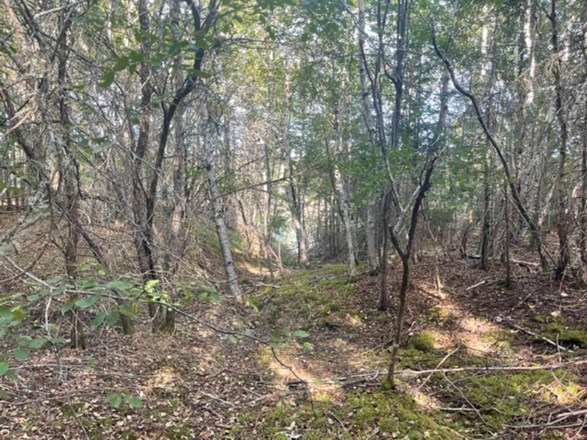 M40L85 Lyons Road Lubec ME 04652