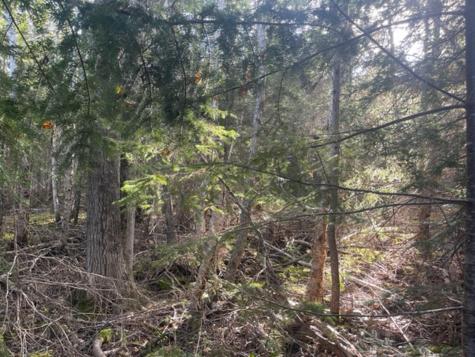 M40L85 Lyons Road Lubec ME 04652