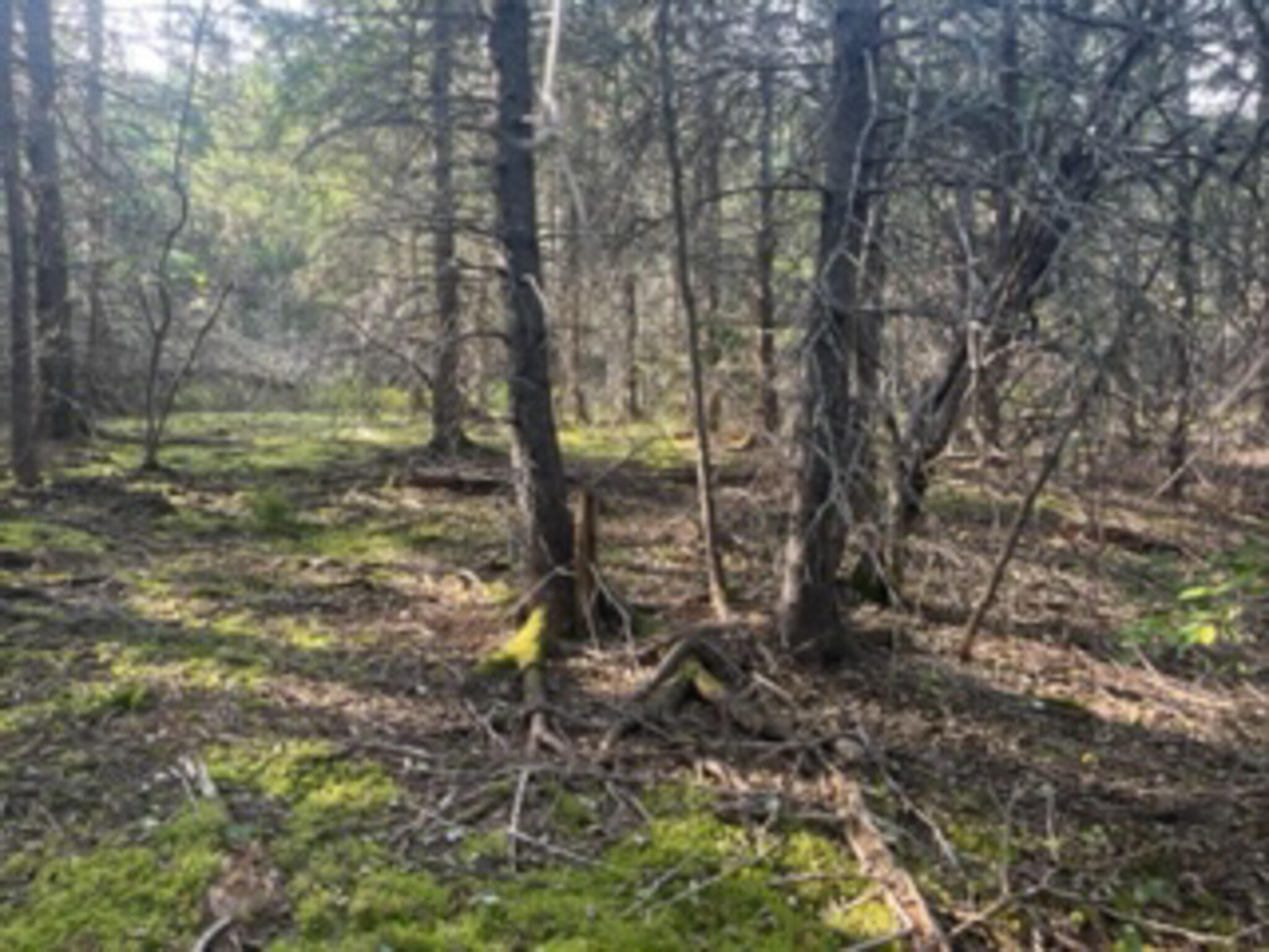 M40L85 Lyons Road Lubec ME 04652