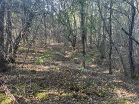 M40L85 Lyons Road Lubec ME 04652