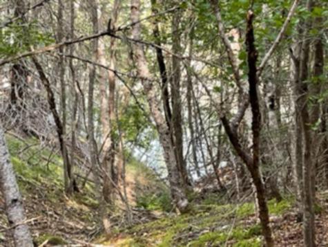 M40L85 Lyons Road Lubec ME 04652