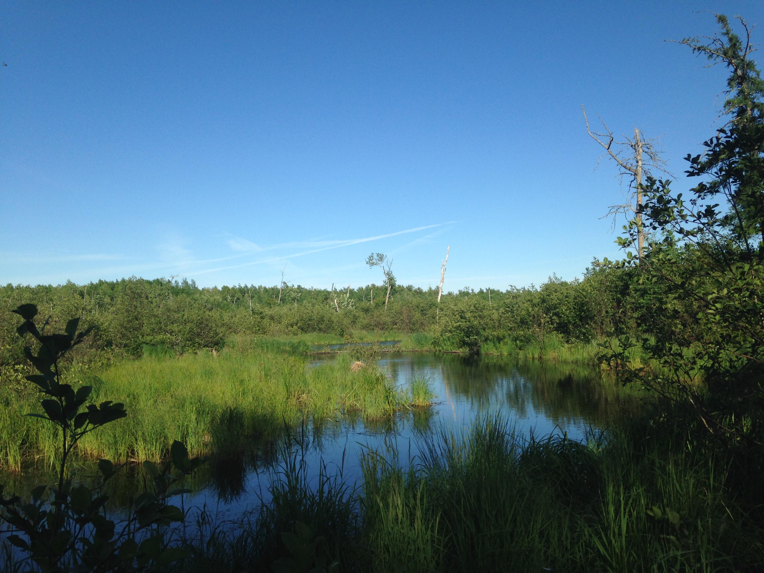 20 Winding Road Bradford ME 04449