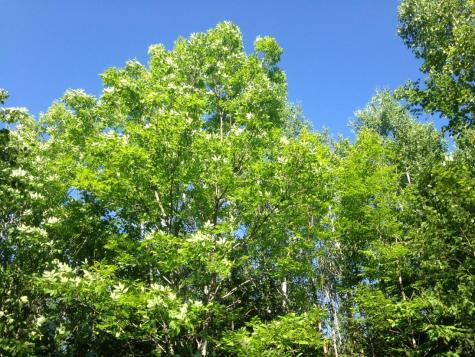 20 Winding Road Bradford ME 04449